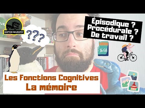 Fonctions Cognitives - La Mémoire