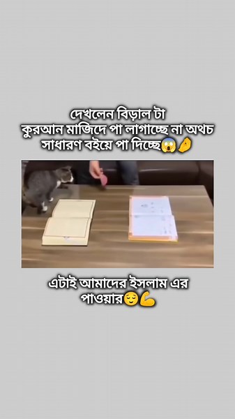 Power of Islam 😌💪 #islamicmindofmoni #foryou #unfrez #trending #viral #shortvideo #youtube