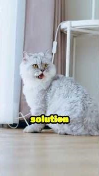 Stop Cat Litter Tracking! 3 Hacks for Clean Floors
