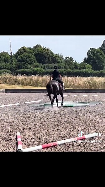 Effective Polework Exercises for Better Horse Training