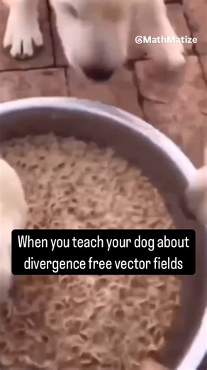 MathMatize on Instagram: "Vector calculus dogs #math #mathmemes #stem #mathematics #calculus"