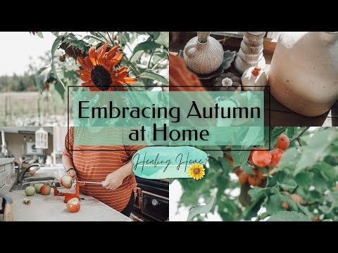 Creating Your Cozy Fall Aesthetics