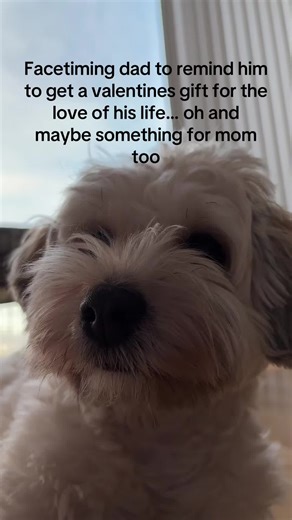 Valentine's Gift Ideas for Pets and Their Owners