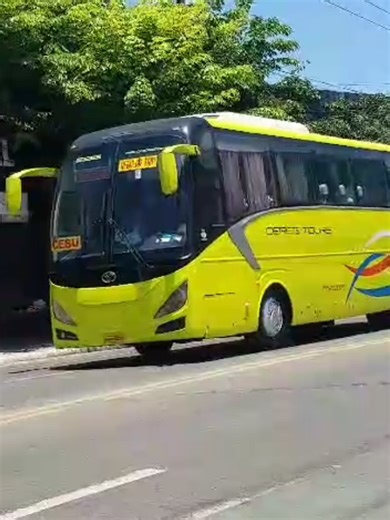 Ceres Tours 795: Dumaguete to Cebu via Oslob