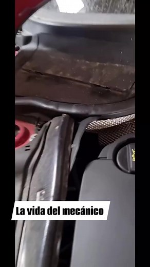 1.7M views · 6.6K reactions | #lavidadelmecanico 臘臘‍♀️臘‍♂️ #fail #error #tragedia #solo quiero cambio de acei..... jajaja | El Mitotero de Caborca | Facebook