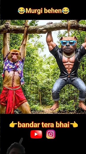 monkey vlog #shorts #monkey #ytshorts