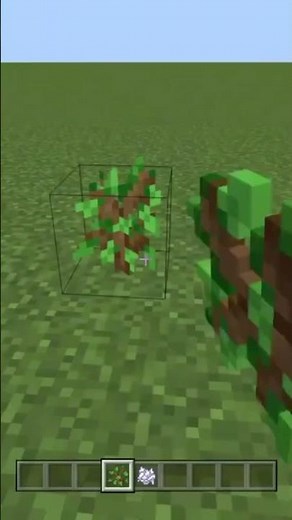 How to plant a sapling (Minecraft)
