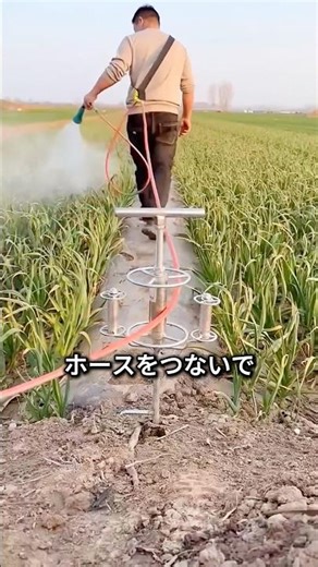 The Gadget That Keeps Your Hose From Ever Getting Tangled