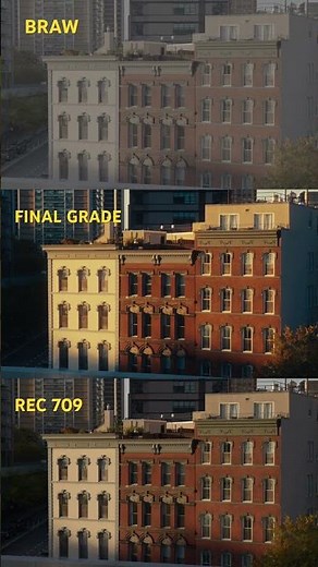 Colour grading process - Braw, rec709 and final grade. #colourgrading #davinciresolve