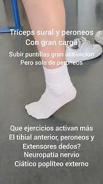 Que ejercicios fortalecen más Tibial anterior, peroneos y extensores dedos?