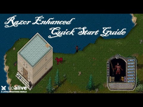 UO Alive: Razor Enhanced Scripting for Newbies