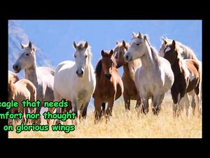 Eagles and Horses (John Denver) Lyrics