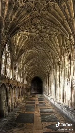 Hogwarts visualization for shifting | #1