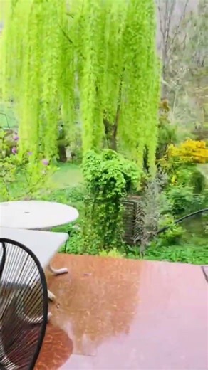 "Discover the Breathtaking Natural Beauty of Pakistan | Stunning Landscapes & Scenic Views 🇵🇰"