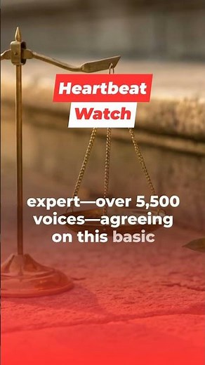 Understanding Core Pro-Life Arguments