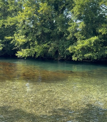 Cynthia Bouzignac on Instagram: "nature, friends & happiness, what else ?"