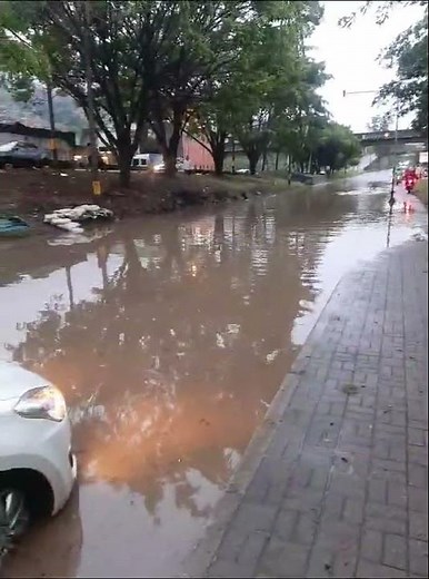Fuerte aguacero deja caída de árboles y vías inundadas en Medellín