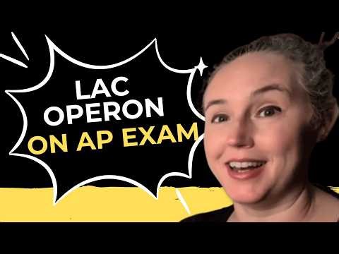 Lac Operon Questions on the AP Biology Exam? Here's How to Analyze Them