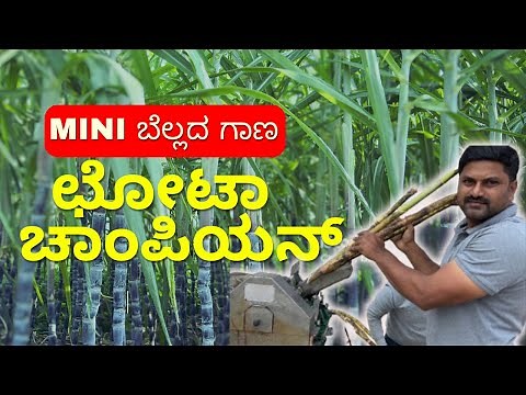 MINI ಬೆಲ್ಲದ ಗಾಣ| Small scale jaggery plant in Karnataka