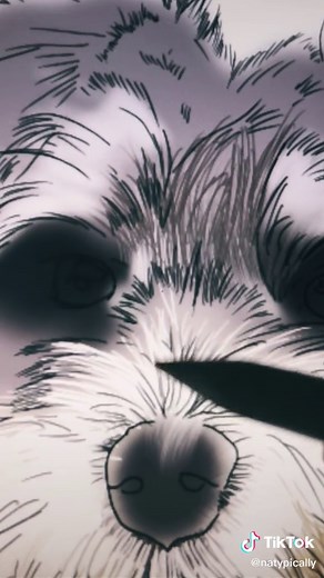 Understanding Different Dog Breeds: A to Z Explained