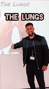 Half term reposts. The lungs and gas exchange explained. GCSE Biology #tiktokteacher #biology #gcse #science #teacher #school #rappingteacher #lungs #breathing #oxygen #carbondioxide #trachea #bronchi #alveoli #year11 #exams #revision #stem #combinedsciencegcse | Matt Green