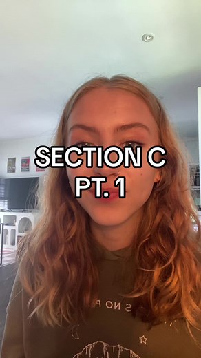 Argument analysis! Check out the links in our bio to see our range of study guides :) #vce #atar #exam #year12 #student #study #studytok #english #hsc #fyp #fypage #tutor #englishtutoring #exams #studyadvice #melbourne