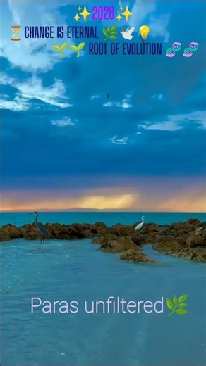 Saiyara tu to🎶✨2026✨ Change is Eternal 🌿 Root of Evolution