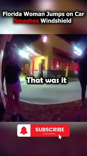 Florida Woman Climbs on Car and Starts Punching