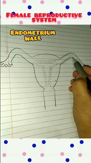 Female reproductive system| learn step by step| #short #biology#12th#ncert