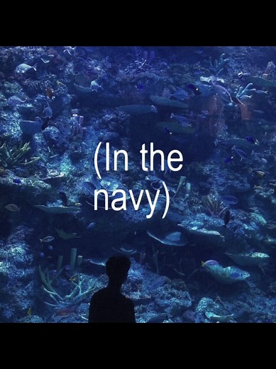 The Navy - Song Lyrics