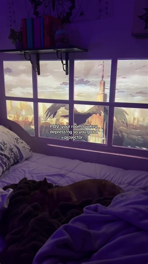 So glad I got this projector! Love casting windows on my wall 🙌🏾#projector #projectorscreen #projectormovienight #fakewindow #windowprojector