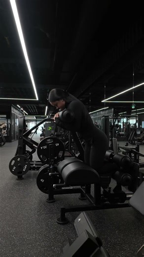 Assisted ham developer