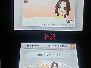 3ds加好友