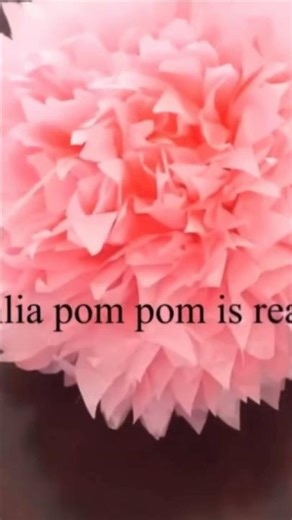 🌸 Tissue paper Pom Pom 💖