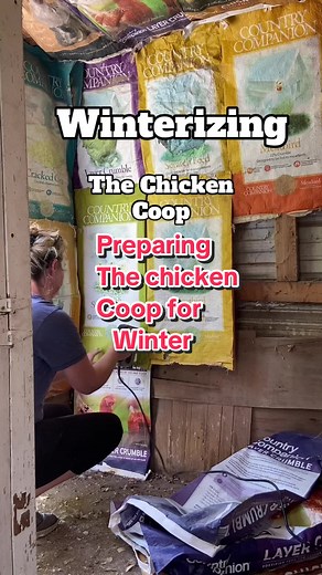 Chicken coop maintenance and getting ready for the cold weather ahead 🐓 @Meyer Hatchery #chickencoop #diy #chickens #backyardchickens #mhambassador #raisingchickens #diyproject #chickencoopsoftiktok