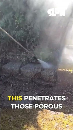 Stop Moss for Good: Essential Post-Power Wash Tips!