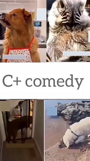 cute cute animals funny voice trending shorts video #cuteanimalsfunnyvideosshorts #funnycomedyshort