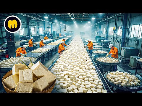 How Tofu is Made in Factory | Tofu Factory Process