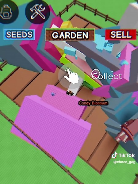 Bocil Candy Blossom: Grow Your Garden Fun!