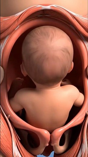 Normal Delivery Full Process inside View #normaldelivery #process #delivery #human #healthylifestyle