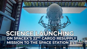 They're tiny. They're extreme. They're water bears. The microscopic creatures are flying to the International Space Station, along with more science & research, on the next SpaceX cargo mission targeted for June 3: https://go.nasa.gov/3tZsrQI | NASA - National Aeronautics and Space Administration