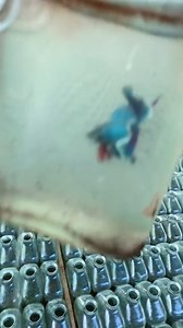 33K views · 320 reactions | In large-scale betta fish farms, using bottles allows for efficient handling and sorting of a large number of fish. This is particularly useful for separating young fry or for quickly moving fish through different stages of the breeding and rearing process #bettafish #aquarium #aquariumhobby #reelsviralシ | Hendrix backyard TV | Facebook