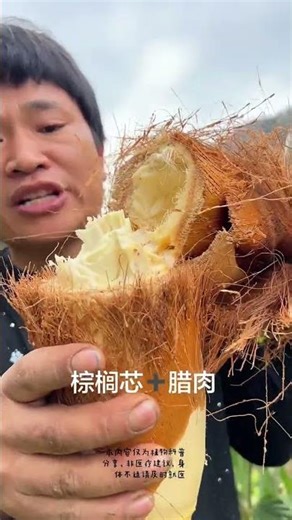 Unveiling the Hidden Powers of Palm Trees: Why Cutting Them Down is a Mistake