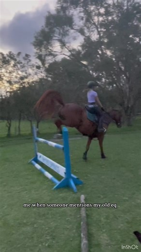 Understanding Equestrian Challenges in Show Jumping