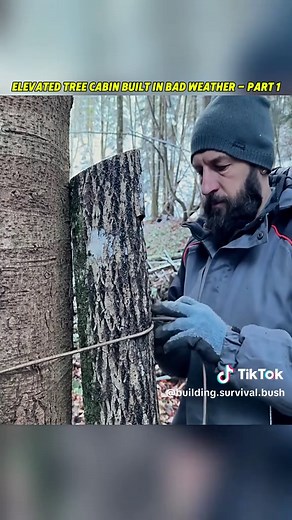 Building an Elevated Tree Cabin in Challenging Weather