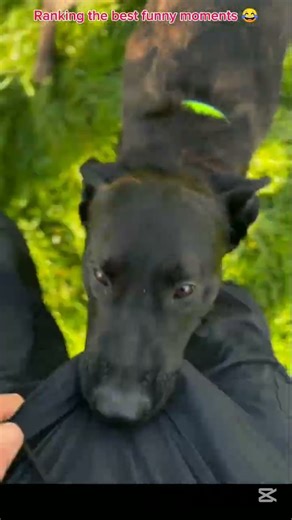 Funny fails 2026😂 #shorts #funnycomedy