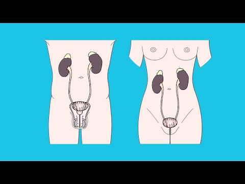 Having a cystoscopy | Cancer Research UK