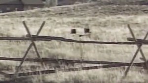 "The Matthew Shepard Story: An American Hate Crime" honors Matthew Shepard’s life and legacy ahead of the 25th Anniversary of Matthew’s passing. Join us for "The Matthew Shepard Story: An American Hate Crime" October 9th at 9/8c on ID or stream on Max | Investigation Discovery