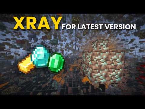 Minecraft Xray Texture Pack Download (Any Version)