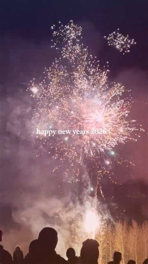 HAPPY NEW YEAR ! 🫶🏼💐🎊 #2026 #fyp #happynewyear #shorts #trending #roadto3k #subscribe #preppy